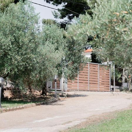 Aelia Metamorfosi (Sithonia) Exterior foto
