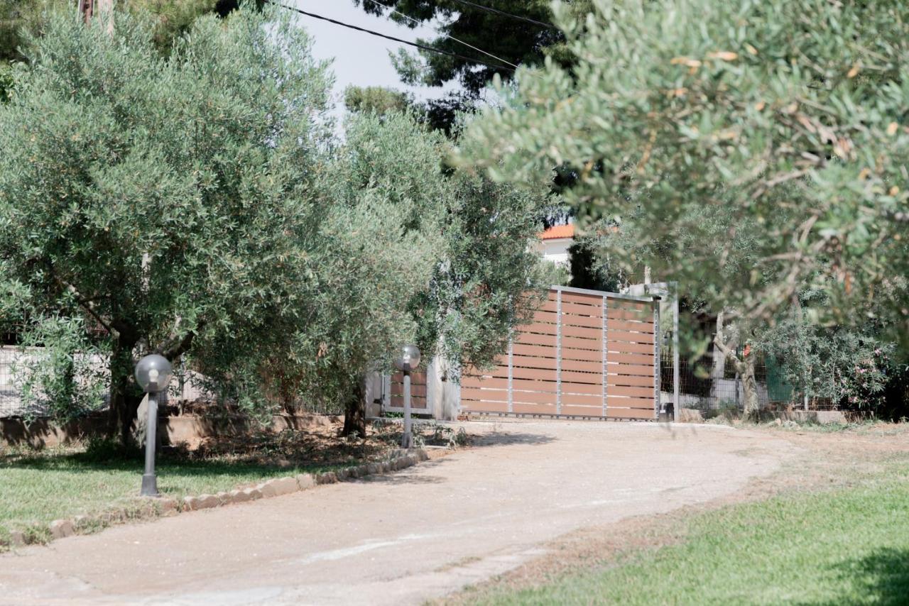 Aelia Metamorfosi (Sithonia) Exterior foto